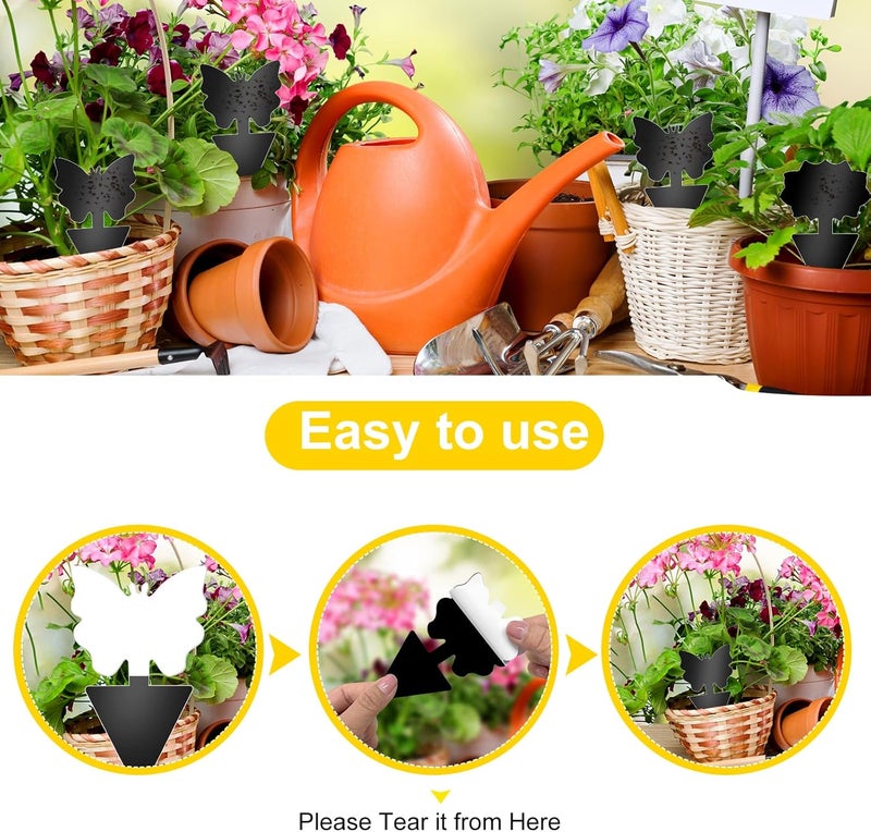 Boromine Fruit Fly Traps, 60 Pack Black Sticky Traps, Fungus Gnat Traps, Plant Fly Stickers for Indoor and Outdoor Use Protect The Plant - Image 3